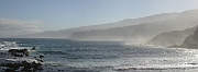 David Plant Photography - Wildlife Photographer - North coast - Tenerife